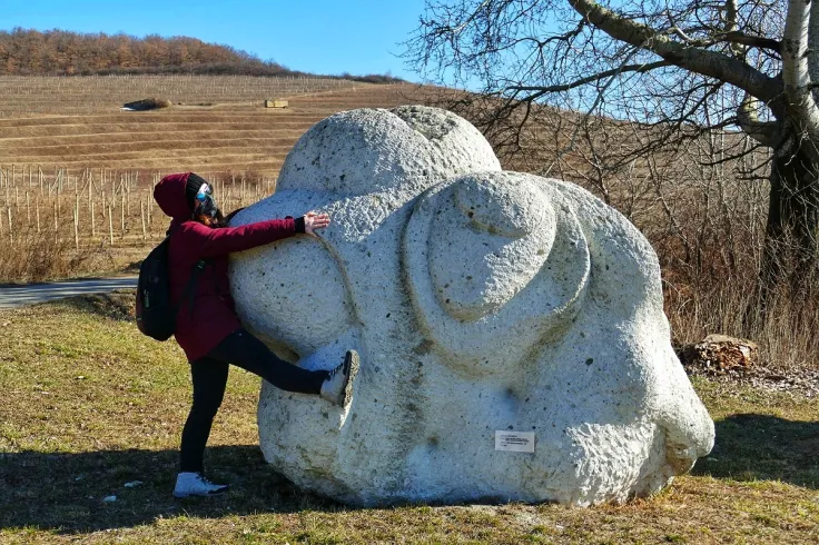bobuľa